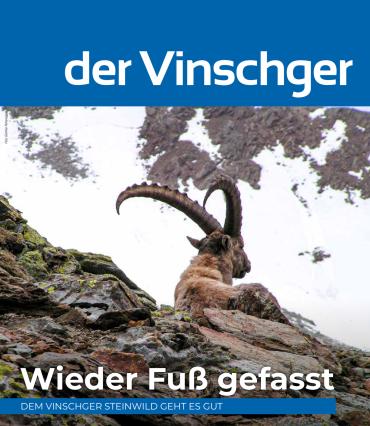 Wieder Fuß gefasst