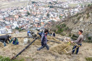 Beim Aufstellen der „Larmstange“ am Scheibenschlag-Sonntag auf dem Scheibenschlag-Bühel in Schlanders. Fotos: Sepp