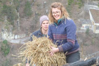 Beim Aufstellen der „Larmstange“ am Scheibenschlag-Sonntag auf dem Scheibenschlag-Bühel in Schlanders. Fotos: Sepp