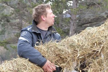 Beim Aufstellen der „Larmstange“ am Scheibenschlag-Sonntag auf dem Scheibenschlag-Bühel in Schlanders. Fotos: Sepp