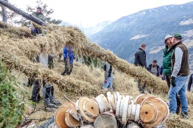 Beim Aufstellen der „Larmstange“ am Scheibenschlag-Sonntag auf dem Scheibenschlag-Bühel in Schlanders. Fotos: Sepp