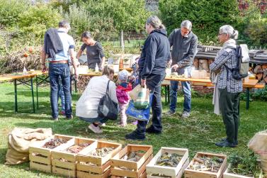 Bunter Herbstmarkt in Glurns, 12. Oktober 2019. Fotos: Sepp