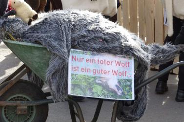 Faschingsumzug 2019 in Latsch; Fotos: Sepp 