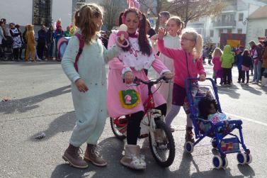 Faschingsumzug 2019 in Latsch; Fotos: Sepp 
