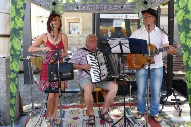 Feinschmeckermarkt 2017 in Glurns; Fotos: Sepp 