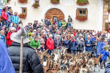 „Festa da la racolta Val Müstair“ in Valchava, 6. Oktober 2019, Fotos: Sepp 