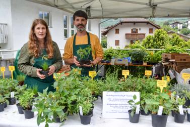 Garten & Genussmarkt Kastelbell 2018; Fotos: Inge