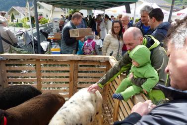 Garten- und Genussmarkt 2019 in Kastelbell. Fotos: Sepp