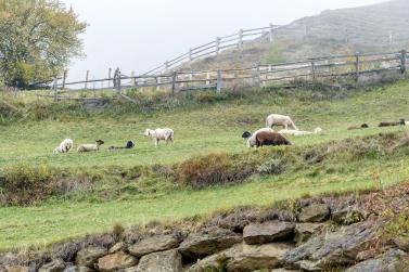 KleinDORFgeflüster im Bergsteigerdorf Matsch unter dem Motto „schaugn. lousn. koschtn“; 19.10.2019; Fotos: Sepp
