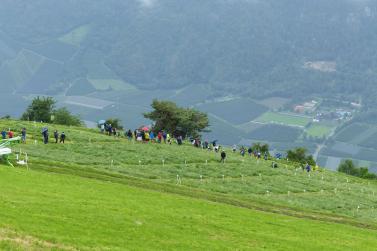 Landesentscheid im Handmähen am 28. Juli 2019 in Trumsberg in Kastelbell. Fotos: Sepp