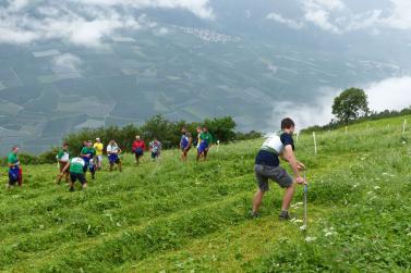 Landesentscheid im Handmähen am 28. Juli 2019 in Trumsberg in Kastelbell. Fotos: Sepp