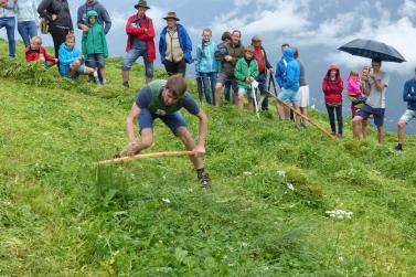 Landesentscheid im Handmähen am 28. Juli 2019 in Trumsberg in Kastelbell. Fotos: Sepp