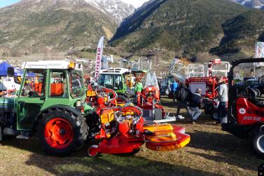 Landsprachmarkt 2019 in Goldrain. Fotos: Sepp