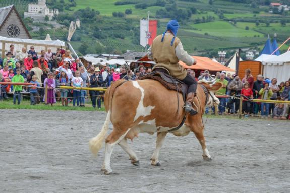13. Südtiroler Ritterspiele; Fotos: AM