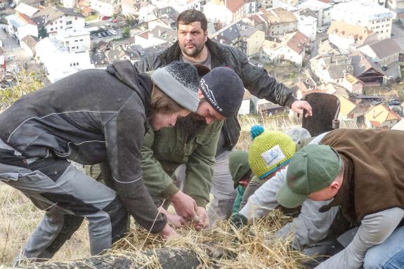 Beim Aufstellen der „Larmstange“ am Scheibenschlag-Sonntag auf dem Scheibenschlag-Bühel in Schlanders. Fotos: Sepp