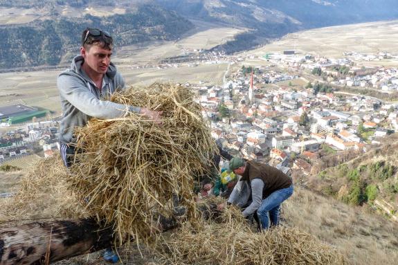 Beim Aufstellen der „Larmstange“ am Scheibenschlag-Sonntag auf dem Scheibenschlag-Bühel in Schlanders. Fotos: Sepp