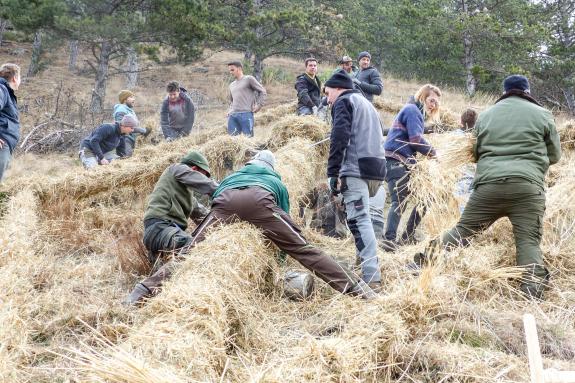 Beim Aufstellen der „Larmstange“ am Scheibenschlag-Sonntag auf dem Scheibenschlag-Bühel in Schlanders. Fotos: Sepp