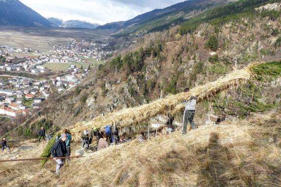 Beim Aufstellen der „Larmstange“ am Scheibenschlag-Sonntag auf dem Scheibenschlag-Bühel in Schlanders. Fotos: Sepp