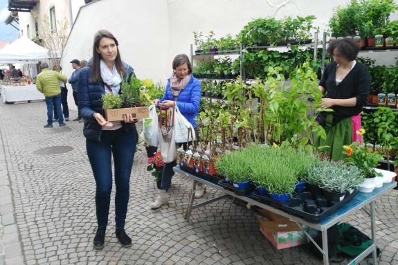 Blumen- und Gartenmarkt Glurns 2018; Fotos: Dany/Ossi