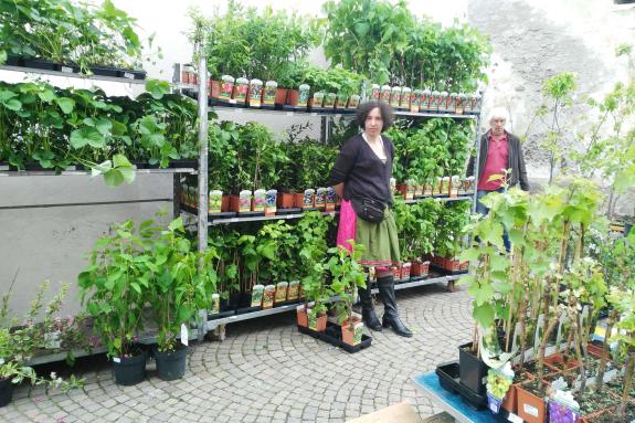 Blumen- und Gartenmarkt Glurns 2018; Fotos: Dany/Ossi