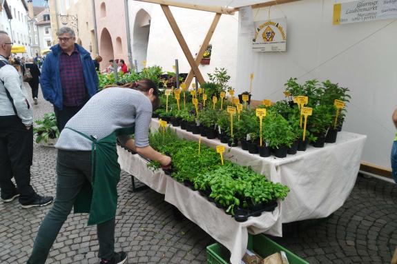 Blumen- und Gartenmarkt Glurns 2018; Fotos: Dany/Ossi