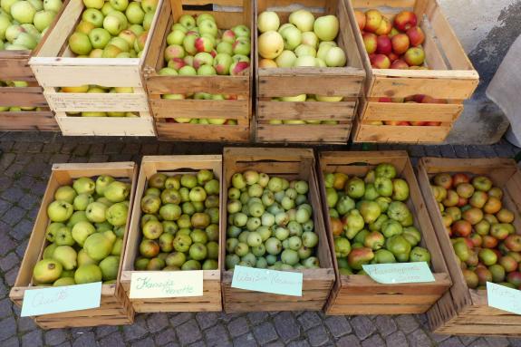 Bunter Herbstmarkt in den Glurnser Lauben; 13. Oktober 2018; Fotos: Sepp  