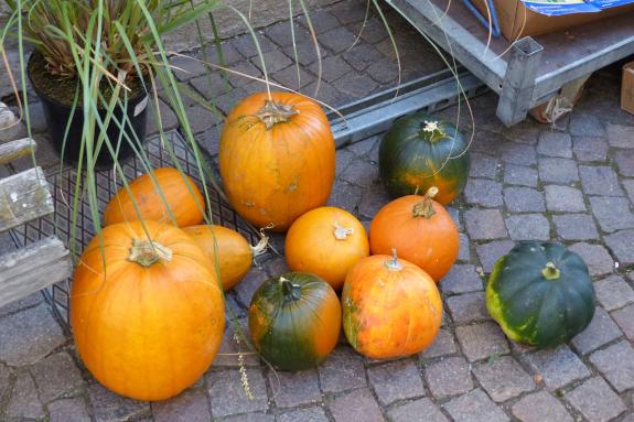 Bunter Herbstmarkt in den Glurnser Lauben; 13. Oktober 2018; Fotos: Sepp  