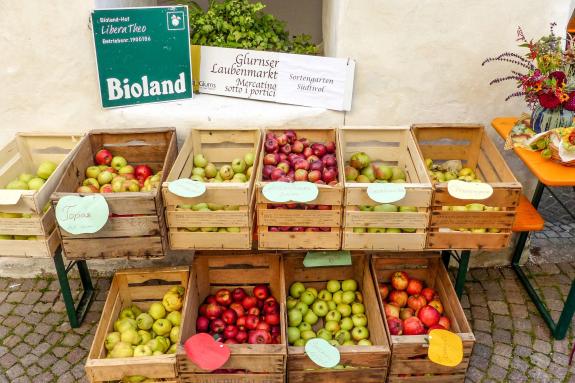 Bunter Herbstmarkt in Glurns, 12. Oktober 2019. Fotos: Sepp