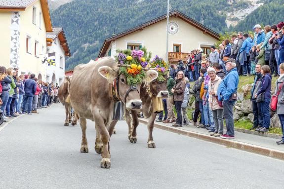 „Festa da la racolta Val Müstair“ in Valchava, 6. Oktober 2019, Fotos: Sepp 
