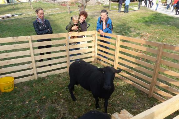 Gollimorkt 2018 in Mals; Fotos: Sepp