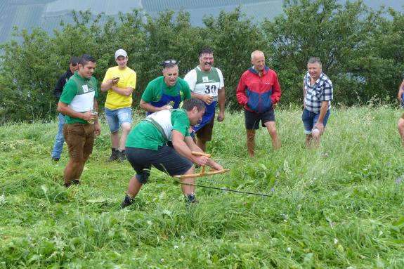 Landesentscheid im Handmähen am 28. Juli 2019 in Trumsberg in Kastelbell. Fotos: Sepp