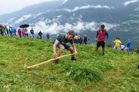 Landesentscheid im Handmähen am 28. Juli 2019 in Trumsberg in Kastelbell. Fotos: Sepp