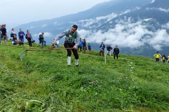 Landesentscheid im Handmähen am 28. Juli 2019 in Trumsberg in Kastelbell. Fotos: Sepp