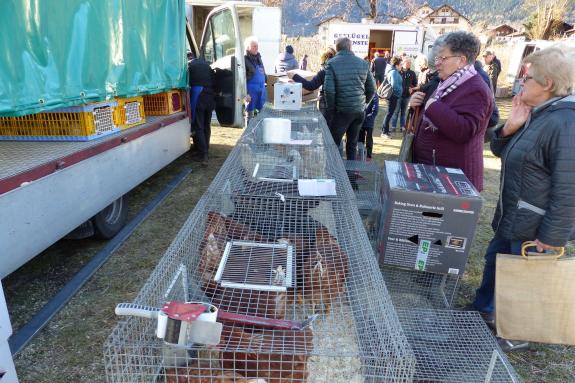 Landsprachmarkt 2019 in Goldrain. Fotos: Sepp