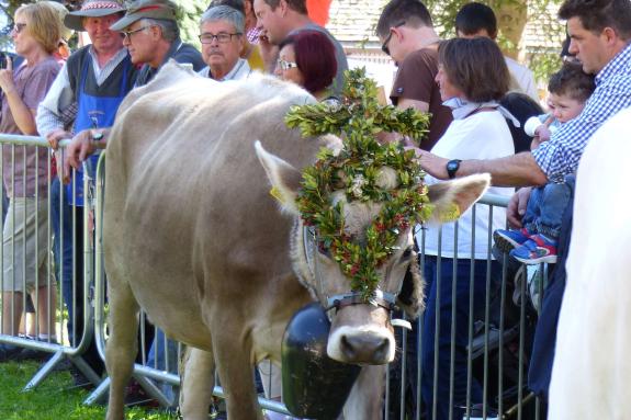 Marteller Almabtrieb 2018; Fotos: Sepp