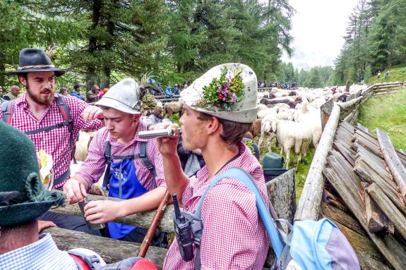 „Schoufschoad“ in Langtaufers, 7. September 2019. Fotos: Sepp