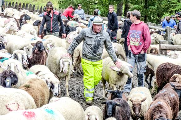 „Schoufschoad“ in Langtaufers, 7. September 2019. Fotos: Sepp