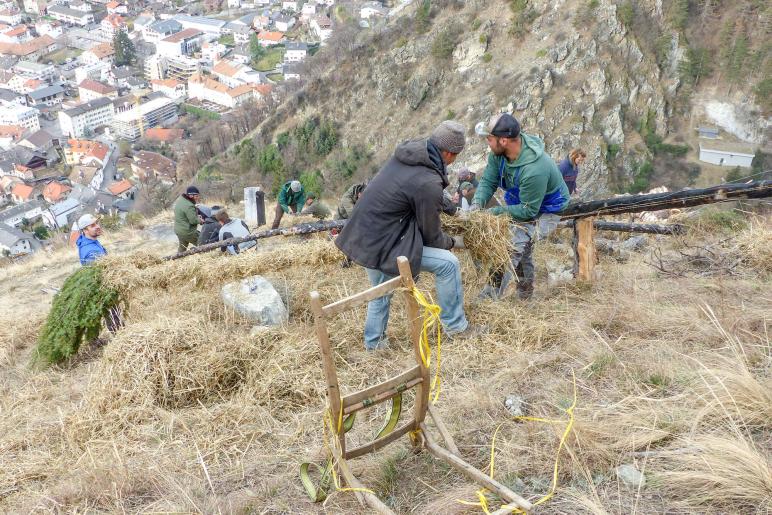 Beim Aufstellen der „Larmstange“ am Scheibenschlag-Sonntag auf dem Scheibenschlag-Bühel in Schlanders. Fotos: Sepp