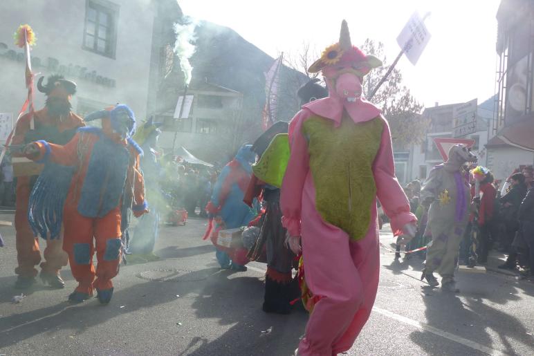 Faschingsumzug 2019 in Latsch; Fotos: Sepp 
