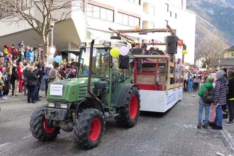 Faschingsumzug 2019 in Latsch; Fotos: Sepp 