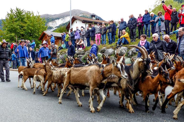 „Festa da la racolta Val Müstair“ in Valchava, 6. Oktober 2019, Fotos: Sepp 