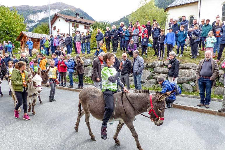 „Festa da la racolta Val Müstair“ in Valchava, 6. Oktober 2019, Fotos: Sepp 