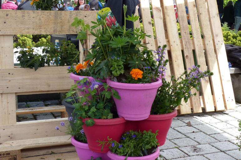 Garten- und Genussmarkt 2019 in Kastelbell. Fotos: Sepp