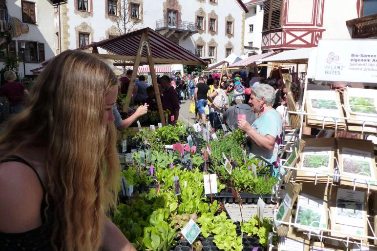 Georgimorkt 2018 in Mals; Fotos: Sepp