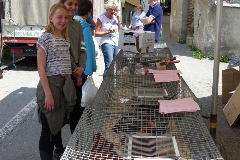 Georgimorkt 2018 in Mals; Fotos: Sepp