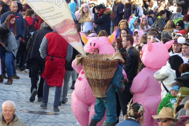 Laaser Fasnachtsumzug 2019; Fotos: Sepp