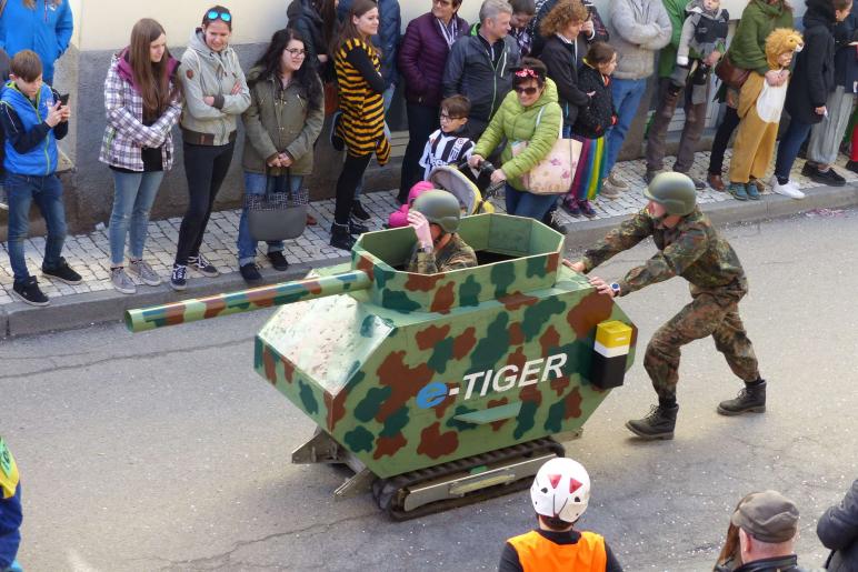 Laaser Fasnachtsumzug 2019; Fotos: Sepp