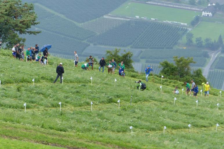 Landesentscheid im Handmähen am 28. Juli 2019 in Trumsberg in Kastelbell. Fotos: Sepp