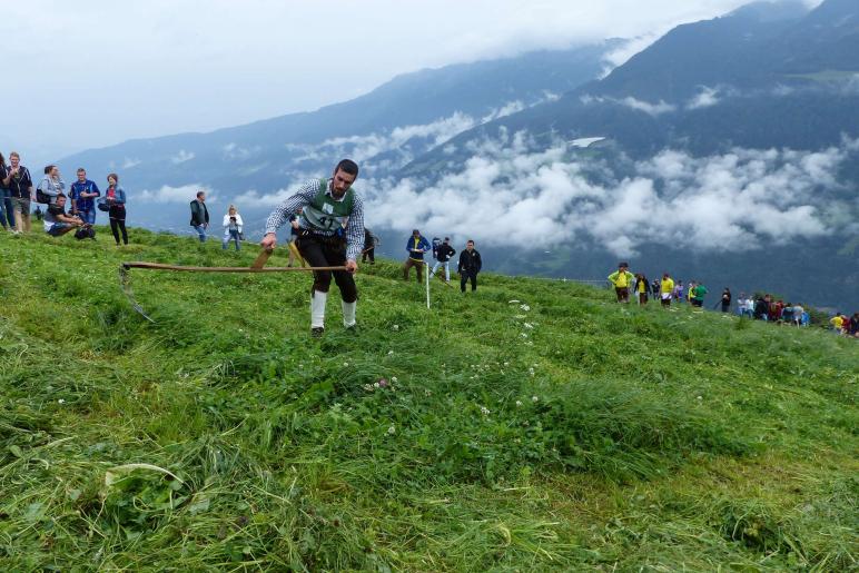 Landesentscheid im Handmähen am 28. Juli 2019 in Trumsberg in Kastelbell. Fotos: Sepp