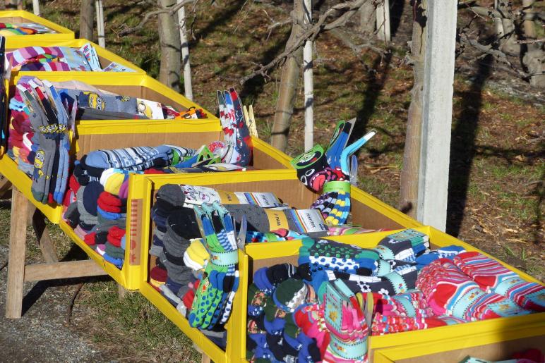 Landsprachmarkt 2019 in Goldrain. Fotos: Sepp